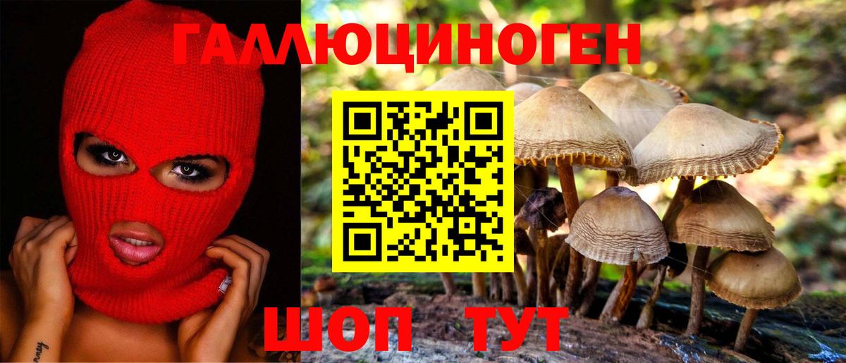 Галлюциногенные грибы ЛСД  Вход с VPN  Галлюциногенные грибы MAGIC MUSHROOMS  купить закладку  Иркутск 